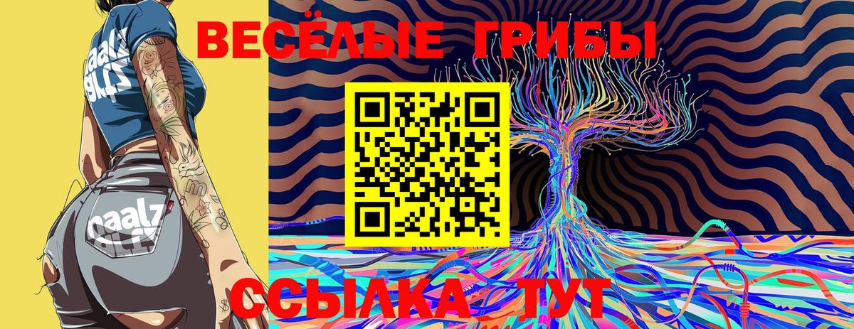 Димитровград  Псилоцибиновые грибы мухоморы  Вход с VPN 