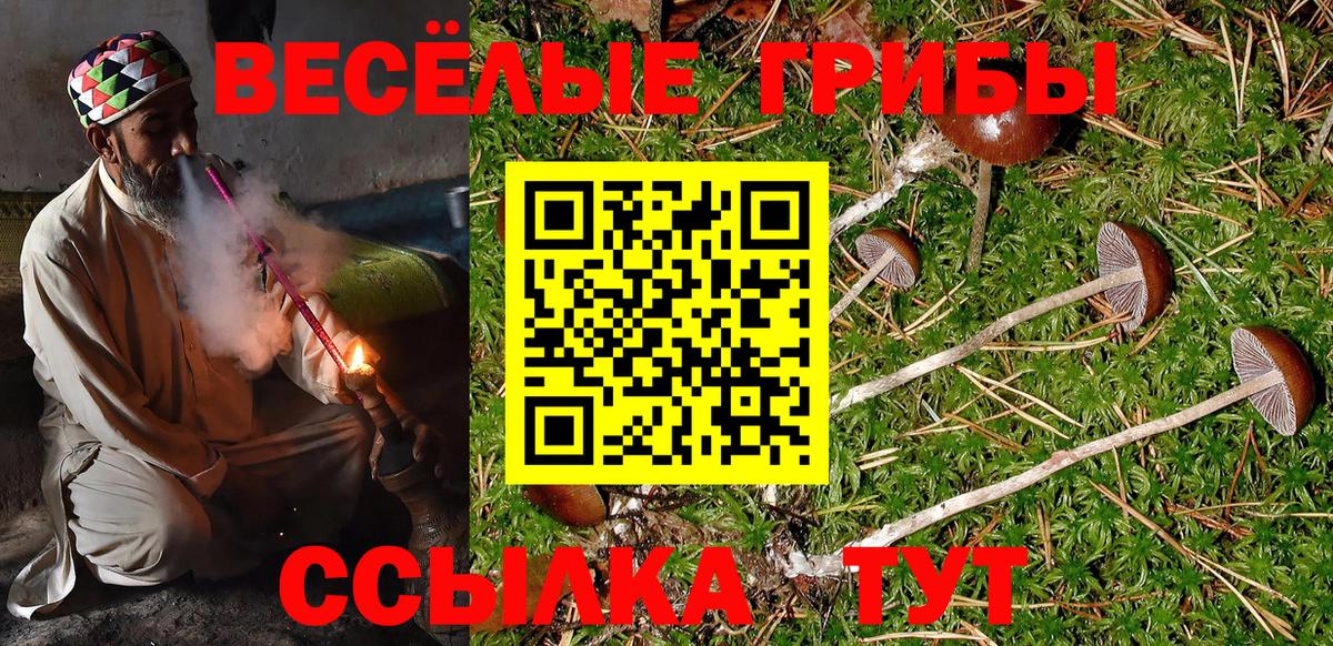 Псилоцибиновые грибы Psilocybine cubensis Димитровград